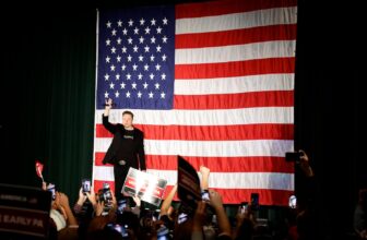 Elon Musk Is the Steve Bannon of 2024