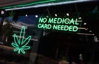 Every State Voting on Legal Weed Today