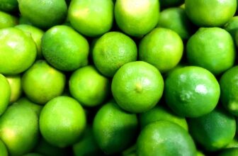 When Juicing Limes in the Sun Goes Horribly Wrong
