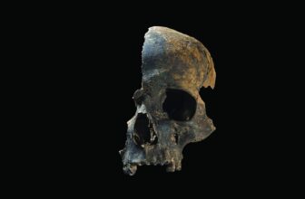 Archaeologists Uncover Horrific Prehistoric Massacre in Britain