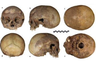 Skull Linked to Cleopatra’s Half-Sister Is Not What It Seems