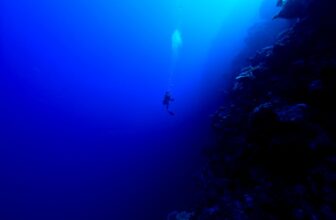 A Mysterious Donor Is Funding an Effort to Build a ‘Permanent Human Settlement’ Underwater
