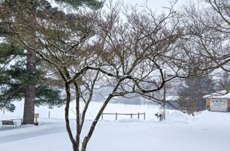 The Little Things Newsletter #507 – Life, laughter, and lots of great food!