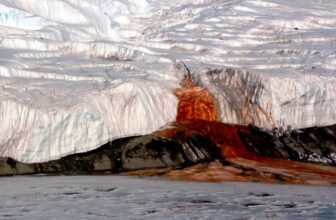 Why This Part of Antarctica Bleeds Blood Red