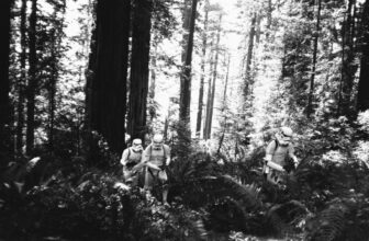 Look at This Treasure Trove of Unseen Photos From the Filming of ‘Return of the Jedi’